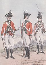 36th Herefordshire Regiment 1792 36th Herefordshire Regiment 1792