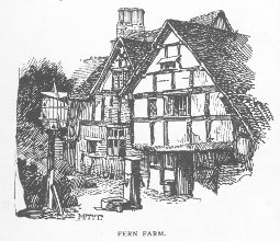 Fern Farm