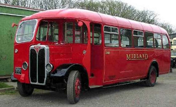 bus in colour
